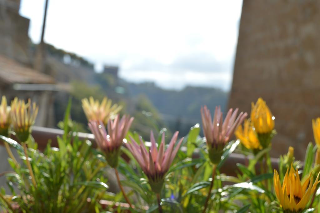 Appartement Casa Dei Lavatoi Pitigliano Extérieur photo